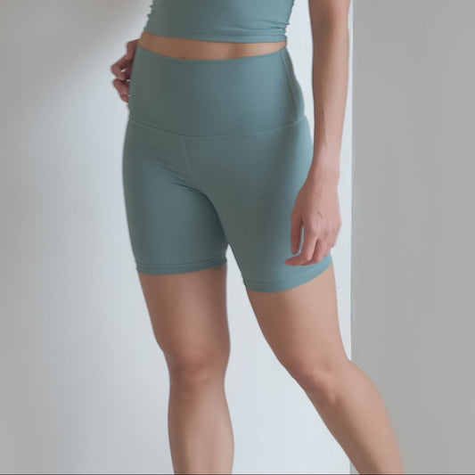 6" inseam shorts in All the Waves